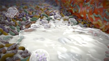 Weakens to kill bacterias on whole mouth Weakens to kill bacterias on whole mouth