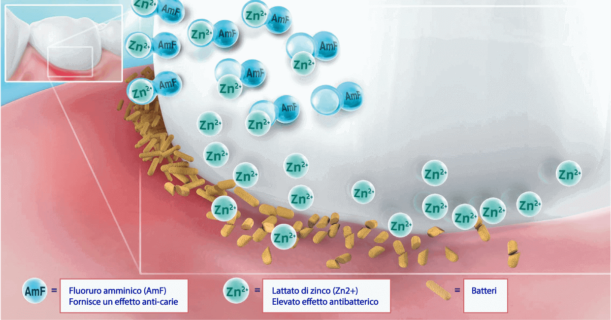 Fluoruro ammninico, lattato di zinco