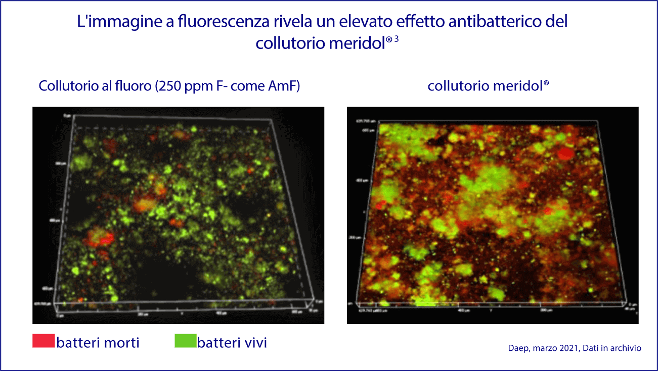 L'efficacia antibatterica si può vedere